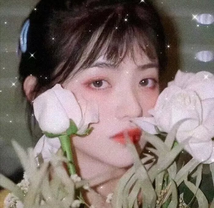 寻枪